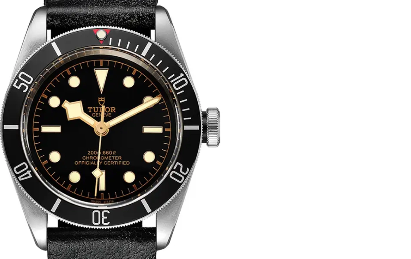 Tudor Black Bay M79230N-0001 WatchProject 21 Shop